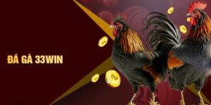Đôi nét về đá gà 33WIN