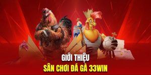 Lý do nên tham gia chơi đá gà 33WIN