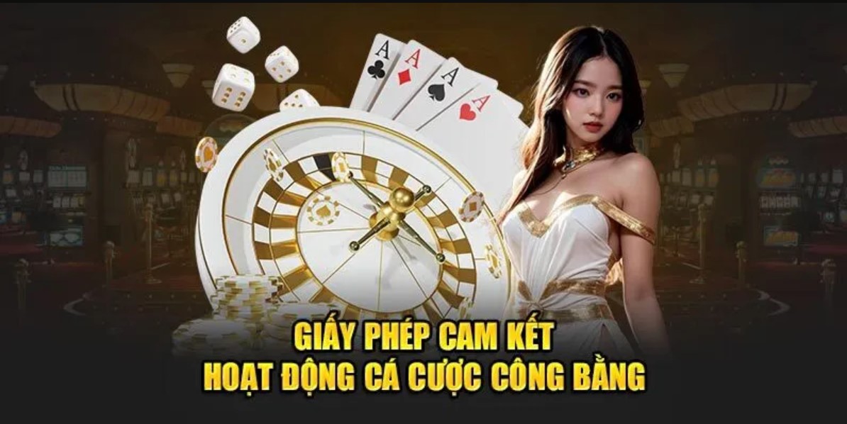 Đôi nét về giấy phép hoạt động chất lượng