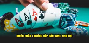 Thông tin sơ bộ về bộ môn Poker 33WIN 